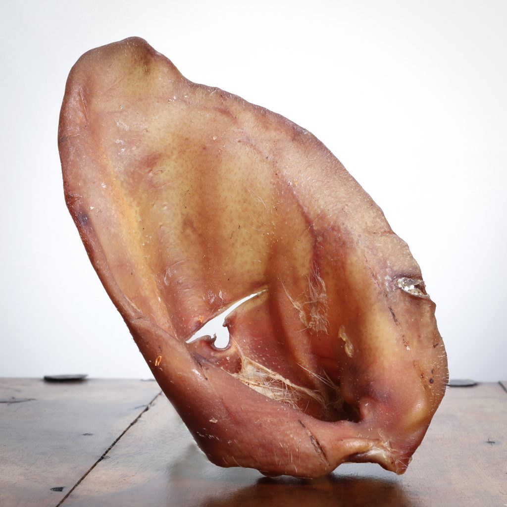 Getrocknetes Schweineohr aus dem Hitzegrad-Shop