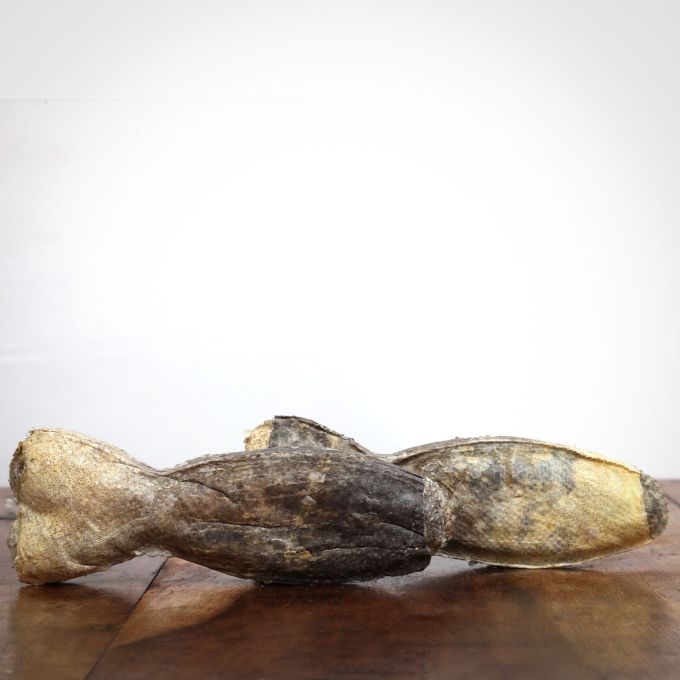 Kauknochen Dorsch, 12 cm für Hunde 